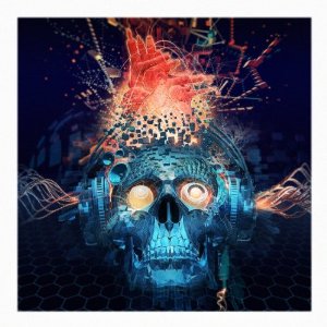 CONNECTION-PAPA ROACH