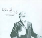 FOUNDLING (DIG)-DAVID GRAY
