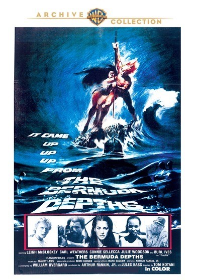 BERMUDA DEPTHS / (MOD MONO WS)-BERMUDA DEPTHS / (MOD MONO WS)