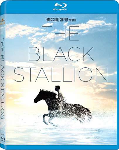 BLACK STALLION / (DTS SUB WS)-BLACK STALLION / (DTS SUB WS)