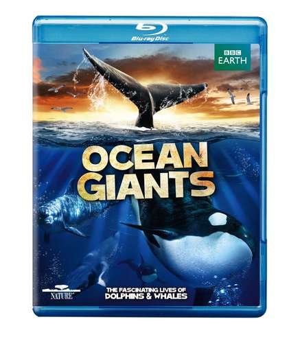 OCEAN GIANTS (W / DVD) / (RPKG)-OCEAN GIANTS (W / DVD) / (RPKG)