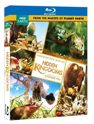 HIDDEN KINGDOM / (ECOA)-HIDDEN KINGDOM / (ECOA)