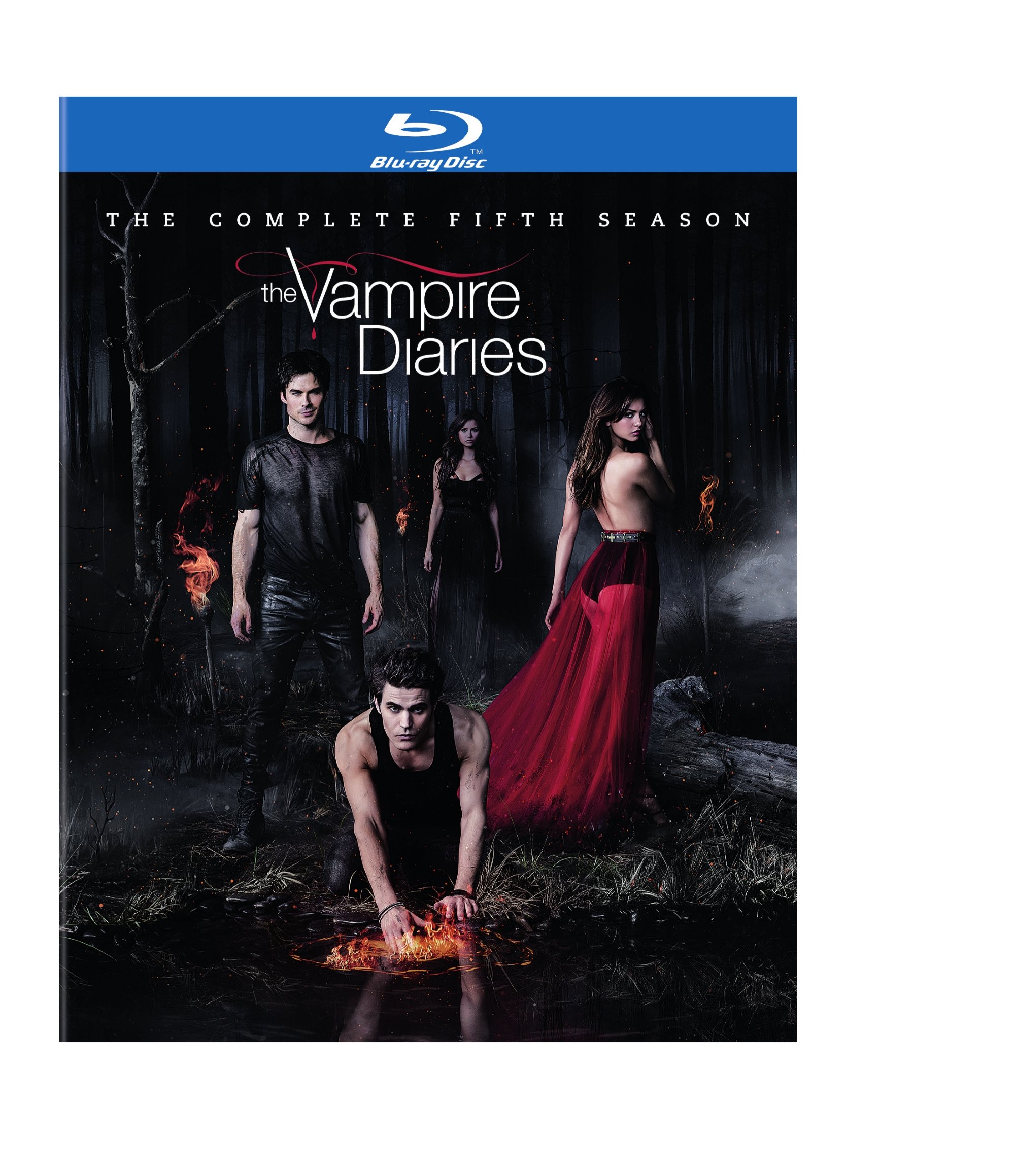 VAMPIRE DIARIES: THE COMPLETE FIFTH SEASON (4PC)-VAMPIRE DIARIES: THE COMPLETE FIFTH SEASON (4PC)