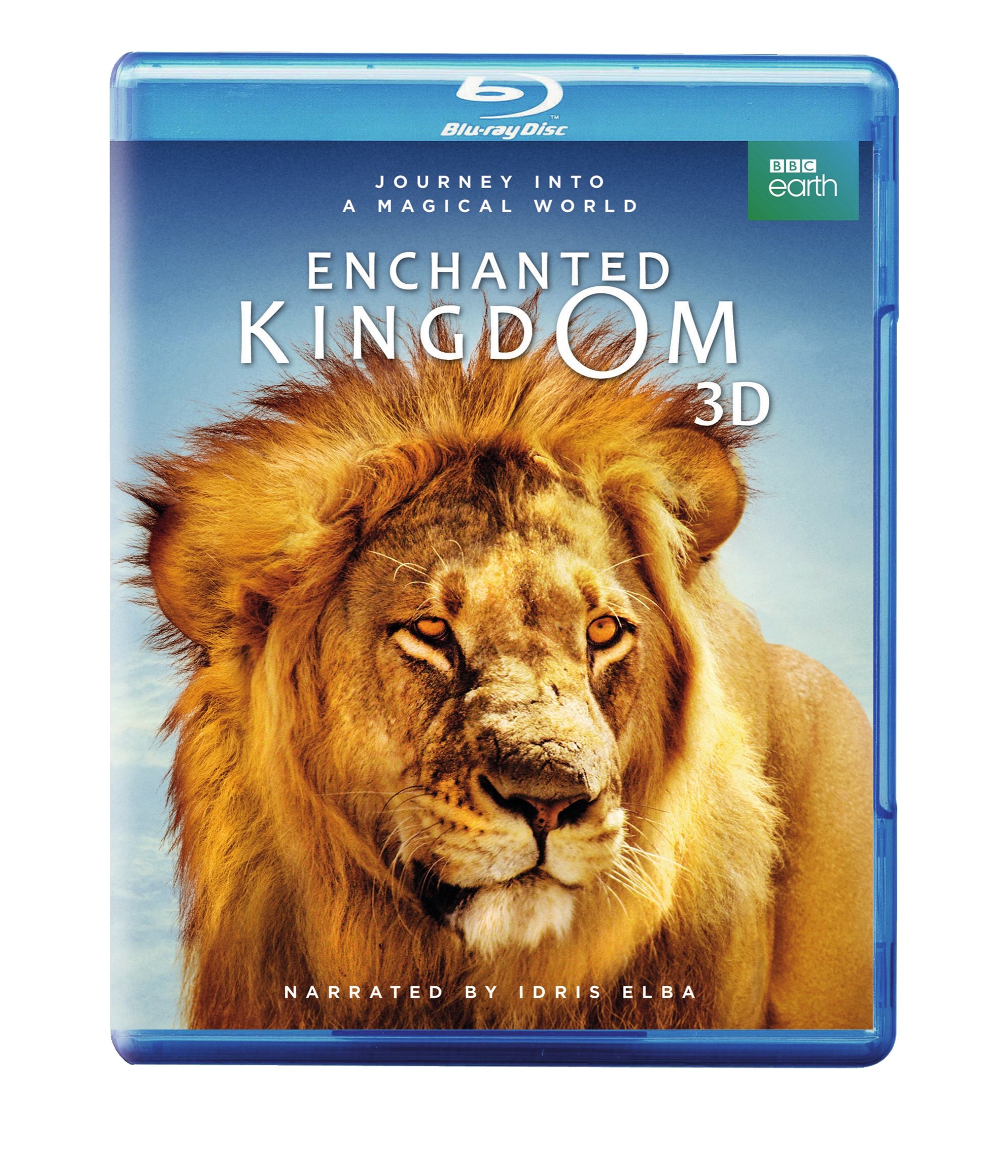 ENCHANTED KINGDOM (3-D) (AMAR)-ENCHANTED KINGDOM