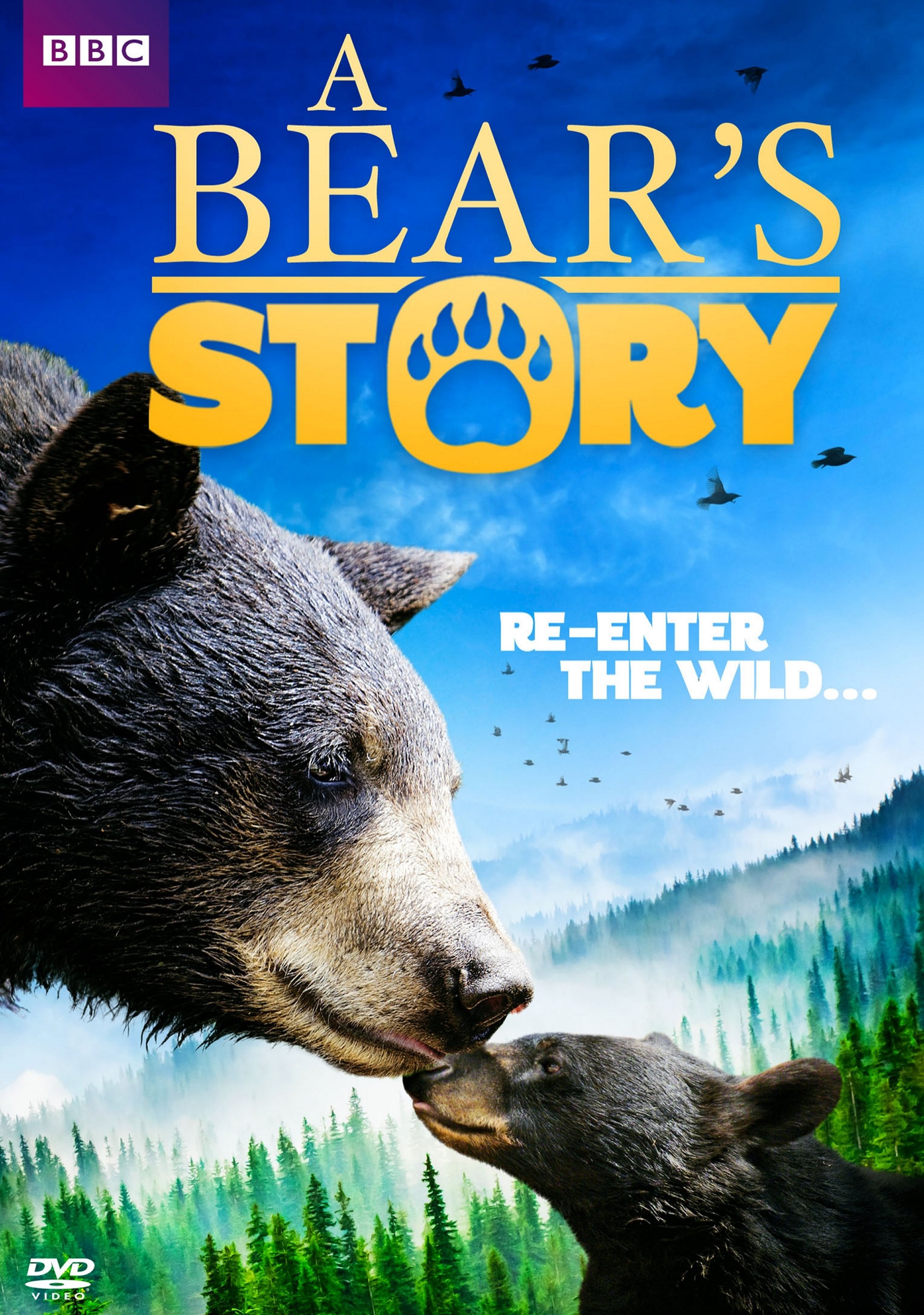 BEAR STORY: SPIRIT'S ADVENTURE-BEAR STORY: SPIRIT'S ADVENTURE