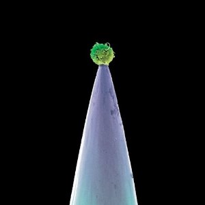 NEW BLOOD (SPEC)-PETER GABRIEL