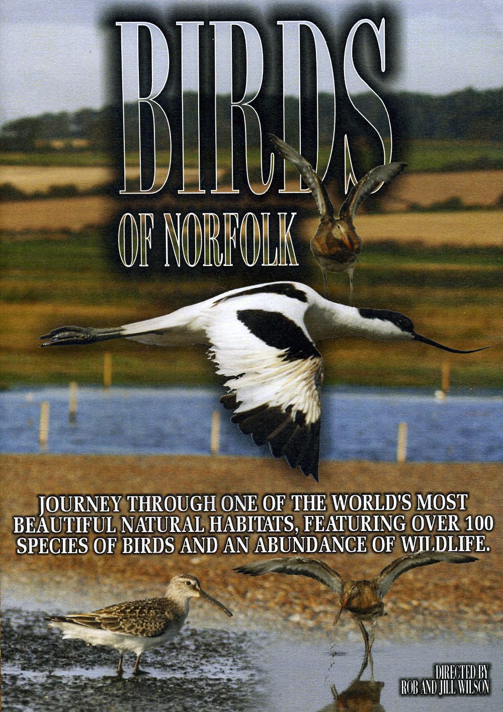 BIRDS OF NORFOLK / (FULL)-BIRDS OF NORFOLK / (FULL)