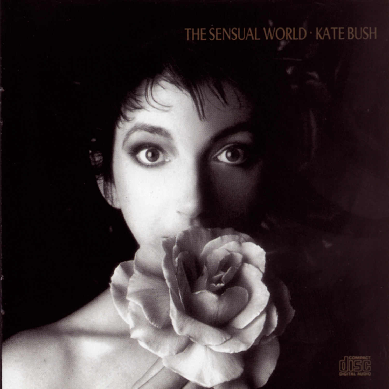 SENSUAL WORLD-KATE BUSH