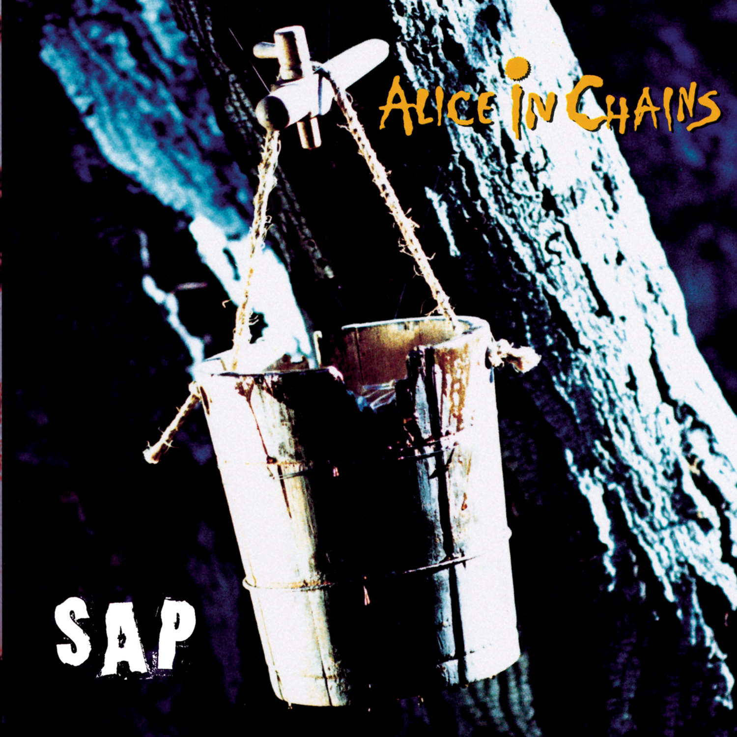 SAP-ALICE IN CHAINS
