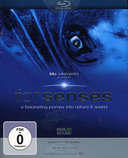 FORSENSES / (GER)-BLU ELEMENTS PROJECT / (GER)