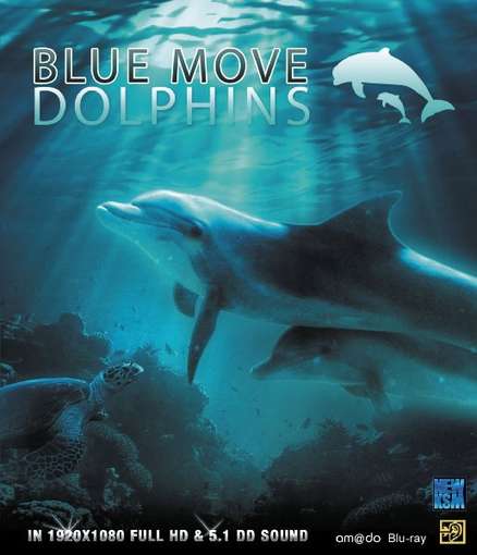 BLUE MOVE: DOLPHINS-BLUE MOVE: DOLPHINS