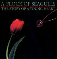 STORY OF A YOUNG HEART-FLOCK OF SEAGULLS