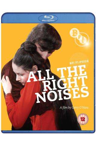 ALL THE RIGHT NOISES-ALL THE RIGHT NOISES