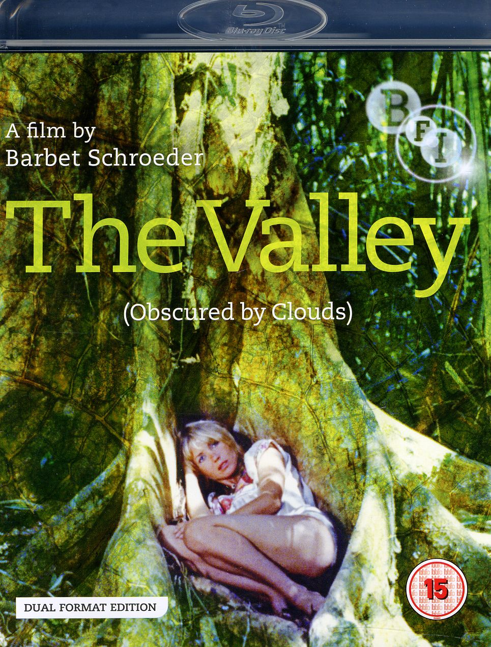 VALLEY (OBSCURED BY CLOUDS) (1972)-VALLEY