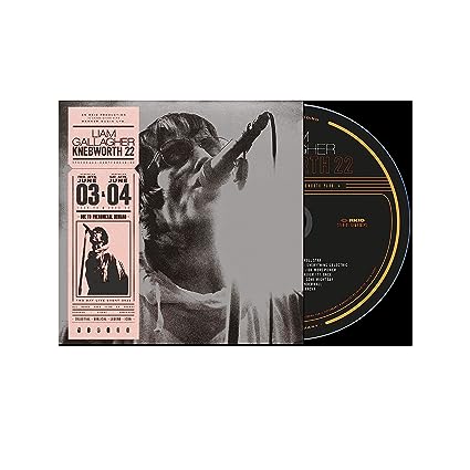 KNEBWORTH 22-LIAM GALLAGHER