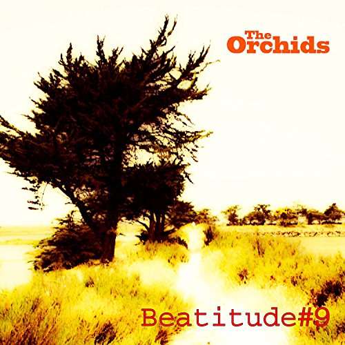 BEATITUDE #9 (JEWL)-ORCHIDS