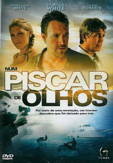 NUM PISCAR DE OLHOS - IN THE BLINK OF AN EYE (2009-ANDREA LOGAN WHITE / DAVID A.R. WHITE / ERIC R